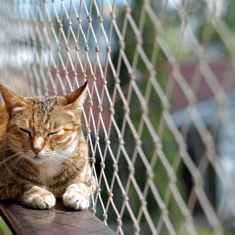 REDE DE PROTEÇÃO PARA PETS 2