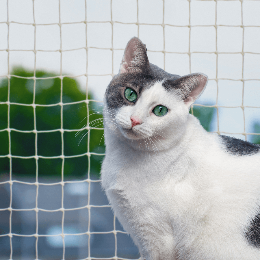REDE DE PROTEÇÃO PARA PETS 3