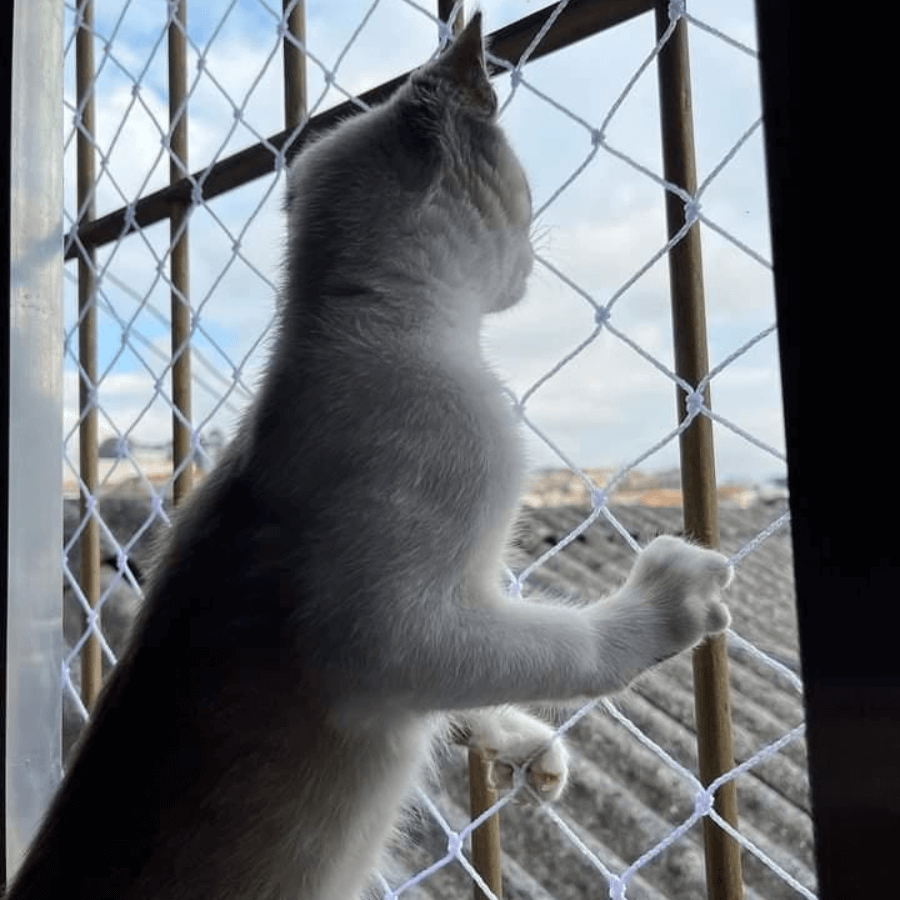 REDE DE PROTEÇÃO PARA PETS 5